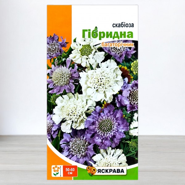 Насіння скабіози гібридної багаторічна, 0,1г, ТМ Яскрава